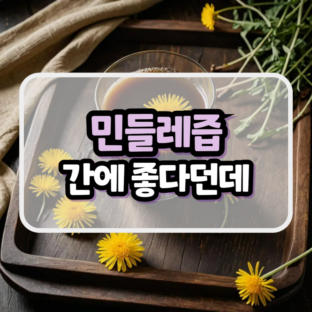 민들레즙 효능