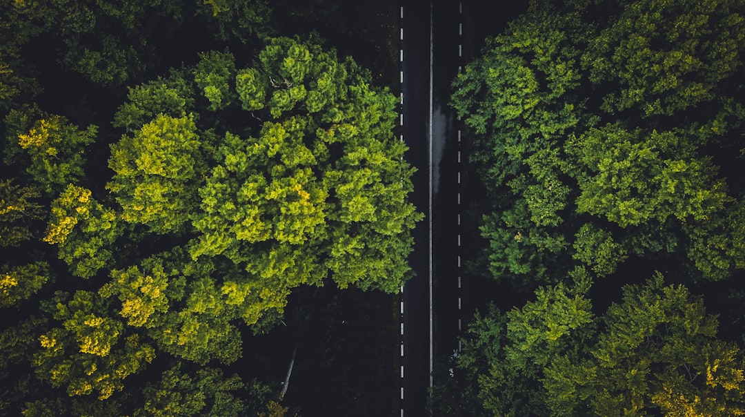 Sustainability.
