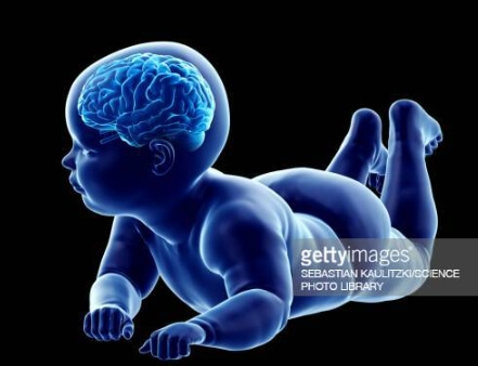 영유아 두뇌발달