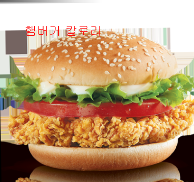 햄버거 칼로리2