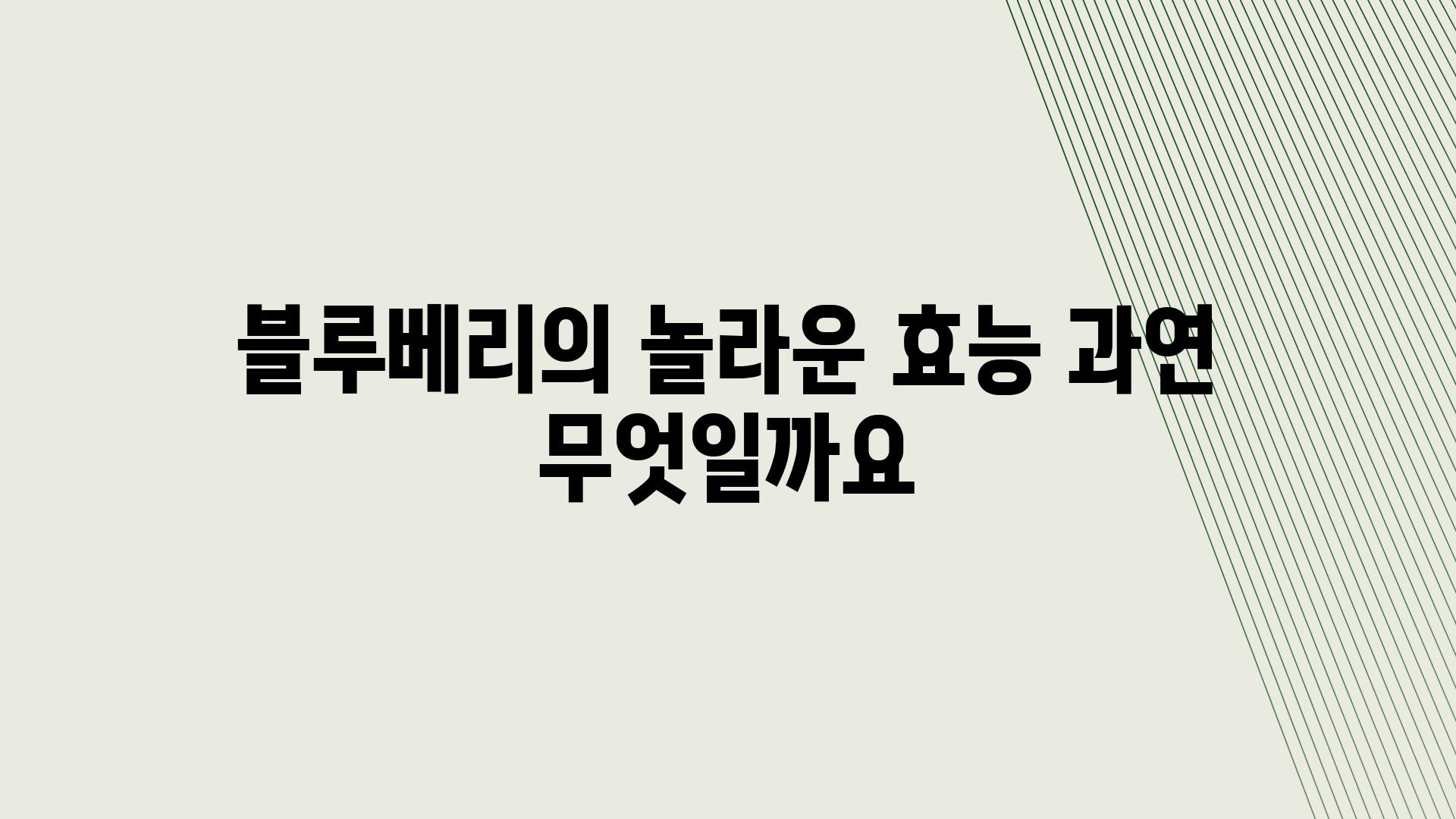 블루베리의 놀라운 효능 과연 무엇일까요