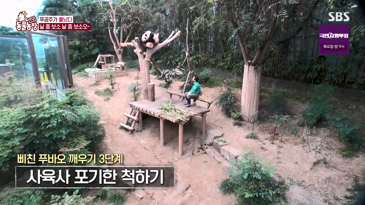 TV 동물농장.E1133.230814p-NEXT.mp4_20230813_171343.084.jpg