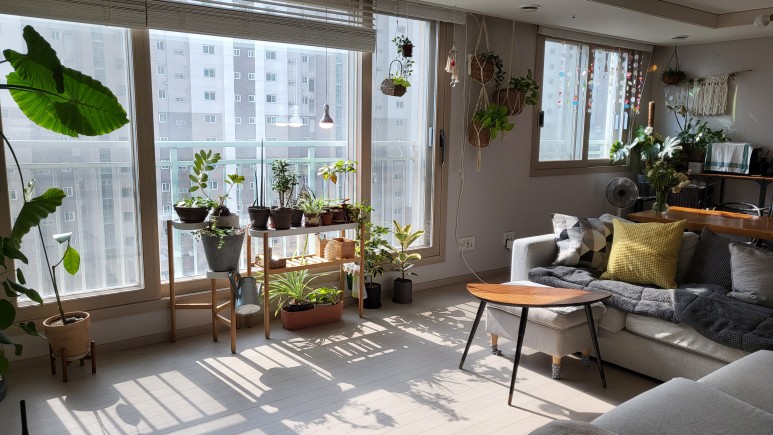 퓨처 그린 식물등으로!