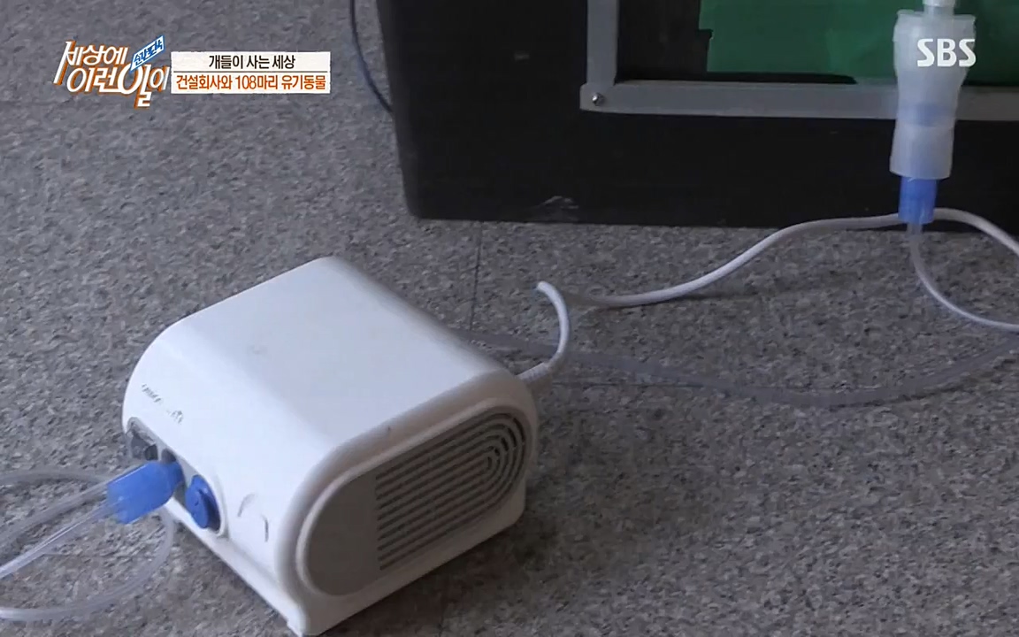 순간포착 세상에 이런일이.E1171.220316p-NEXT.mp4_20220316_185030.543.jpg