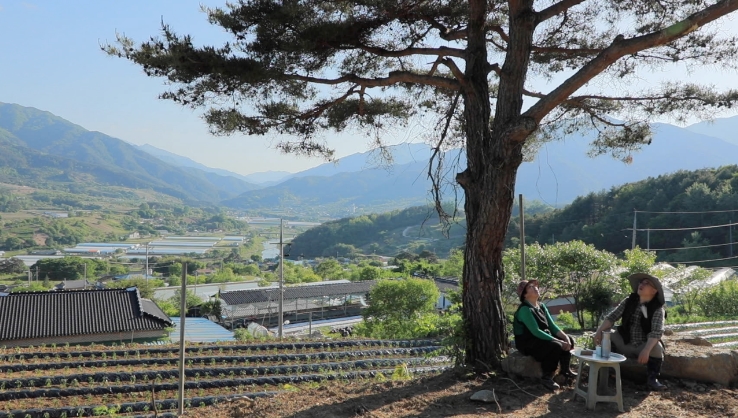 한국기행-지리산-양재중어란