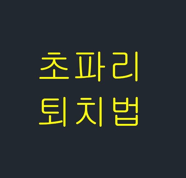  초파리 퇴치법(예방)