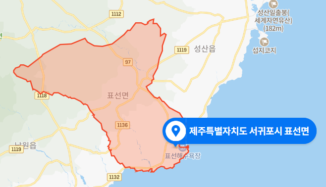  제주 서귀포시 표선면 한지교차로 교통사고 (2020년 11월 17일)