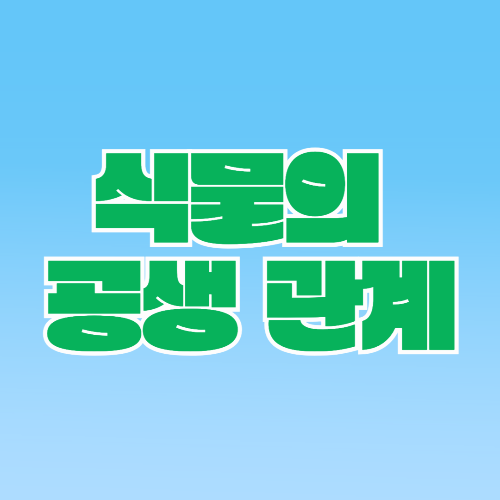 식물의 공생 관계