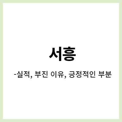 서흥, 1분기 실적, 물류비는 하락했지만 건기식 부진