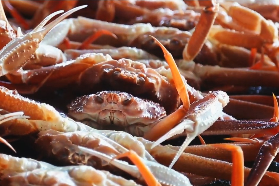  2023 경북포항축제 구룡포 대게 축제 정보 공유 ＂2023 구룡포 어서 오시＂게＂