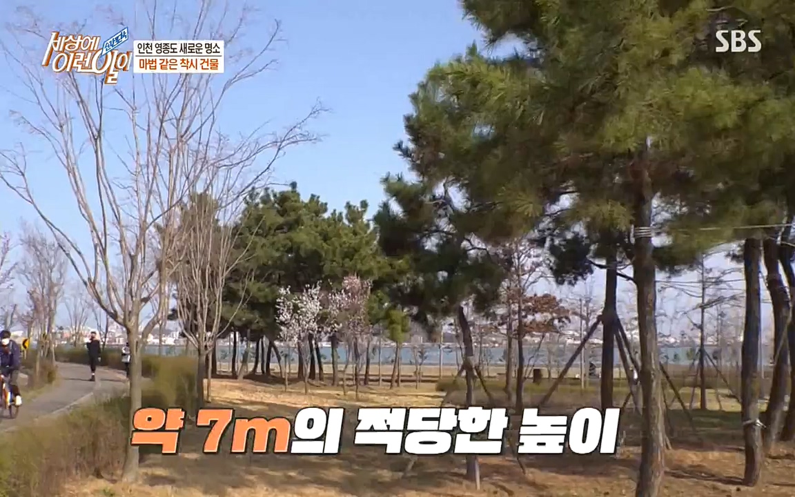 순간포착 세상에 이런일이.E1176.220420p-NEXT.mp4_20220420_175806.634.jpg