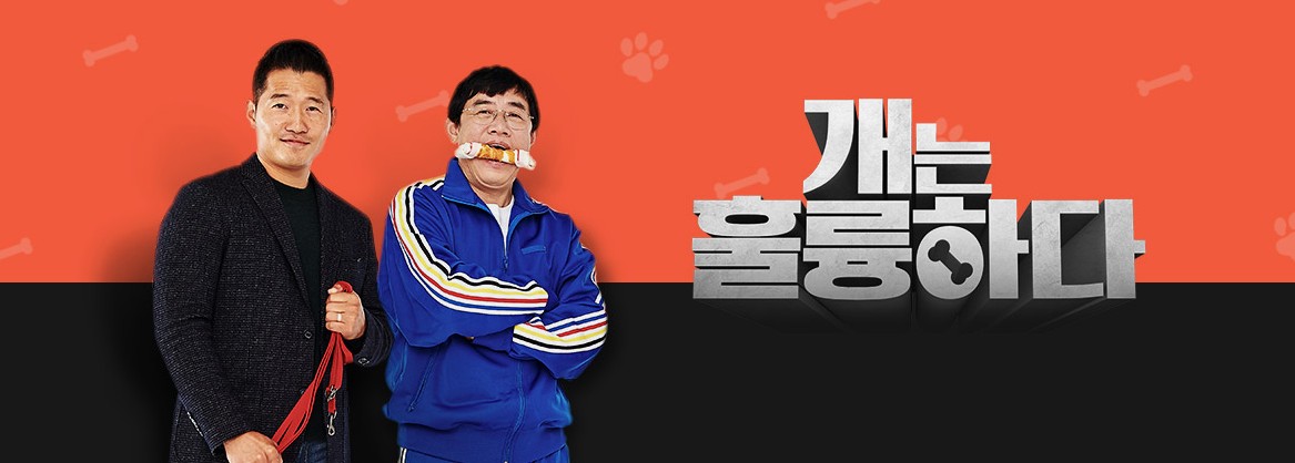  개는 훌륭하다 재방송 다시보기 방법 정리
