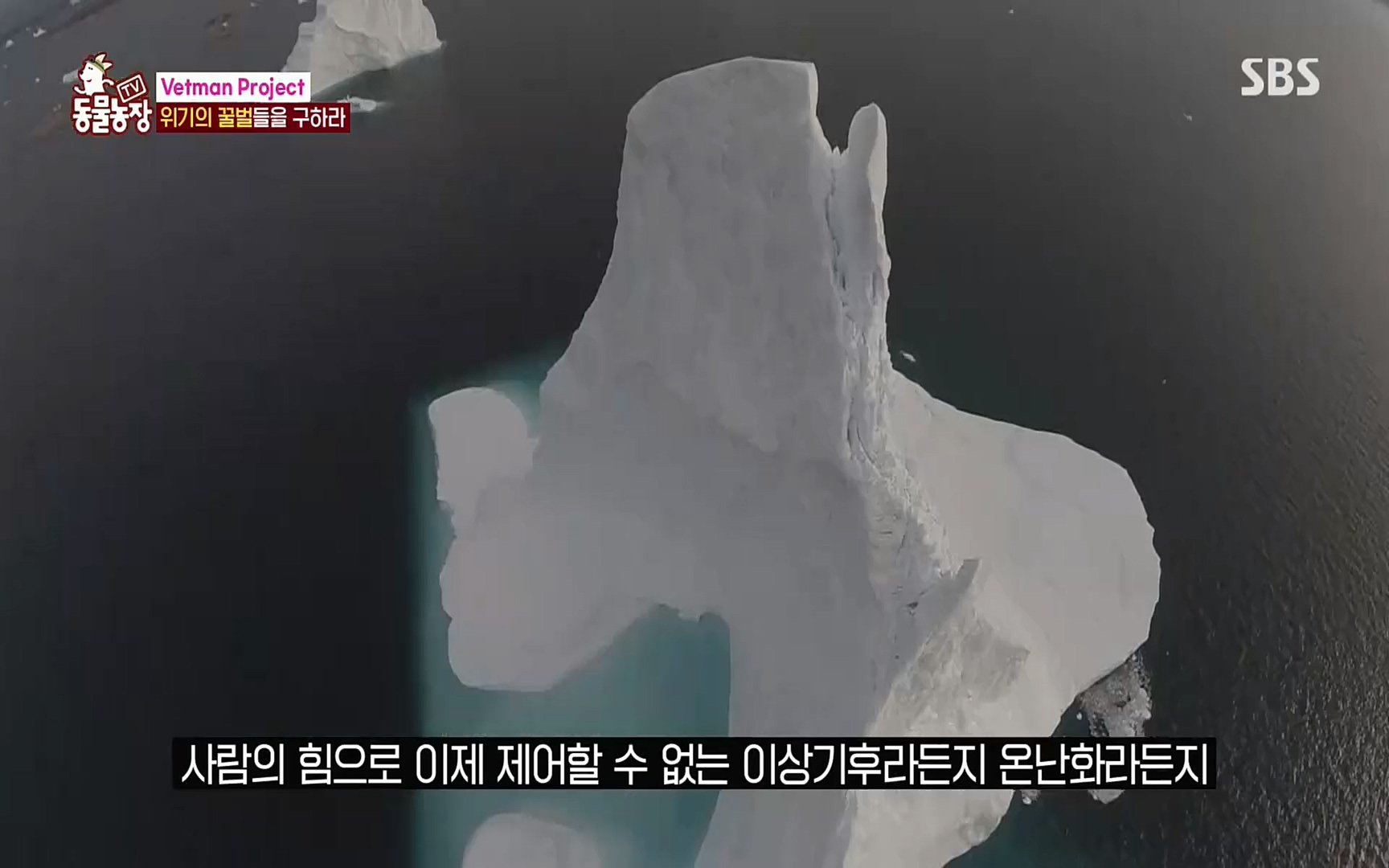 TV 동물농장.E1072.220605p.H264-F1RST.mp4_20220605_181207.891.jpg