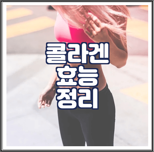  콜라겐의 효능 정리