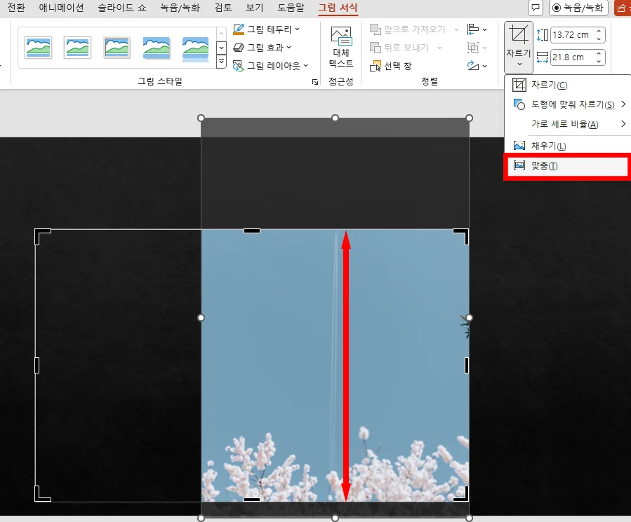 ppt에서 사진을 자르고 맞춤 설정을 하는 모습