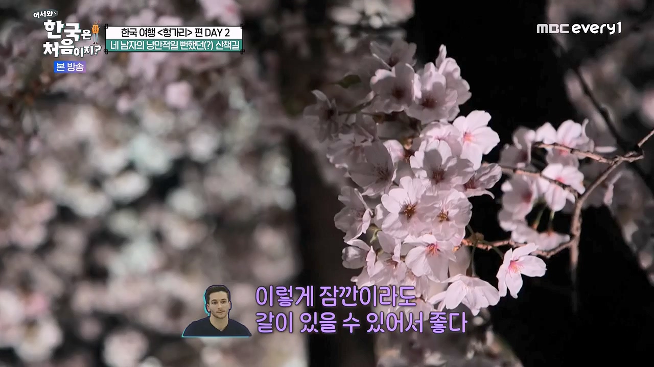 어서와 한국은 처음이지 시즌2.E317.240607p-NEXT.mp4_20240607_201731.837.jpg