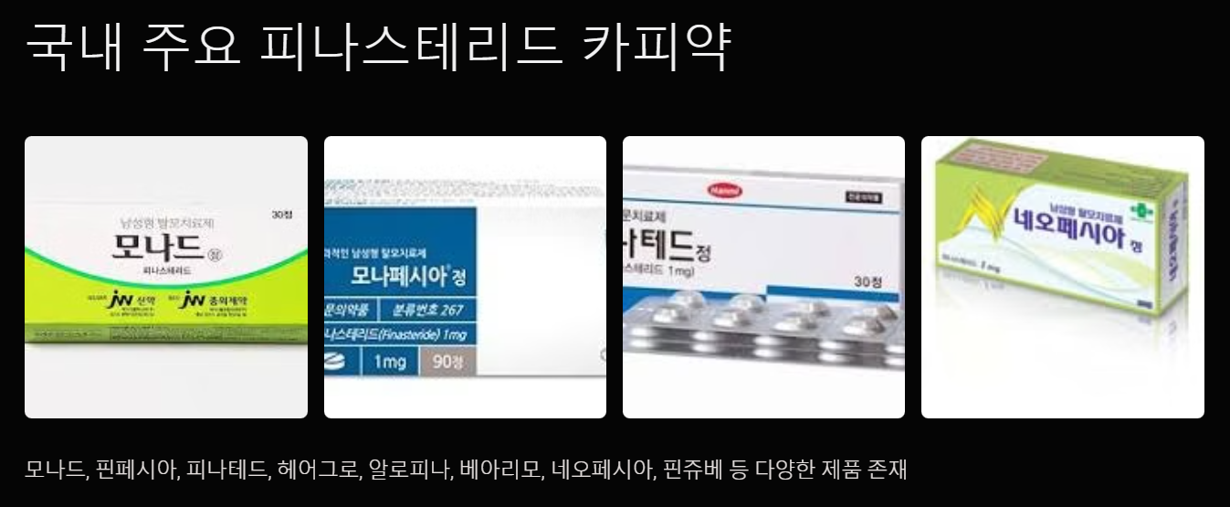 국내 주요 카피약-구매방법-모나드-모나페시아-핀페시아-피나테드-헤어그로-알로피나-베아리모-핀쥬베-네오페시아-마이페시아-메디페시아