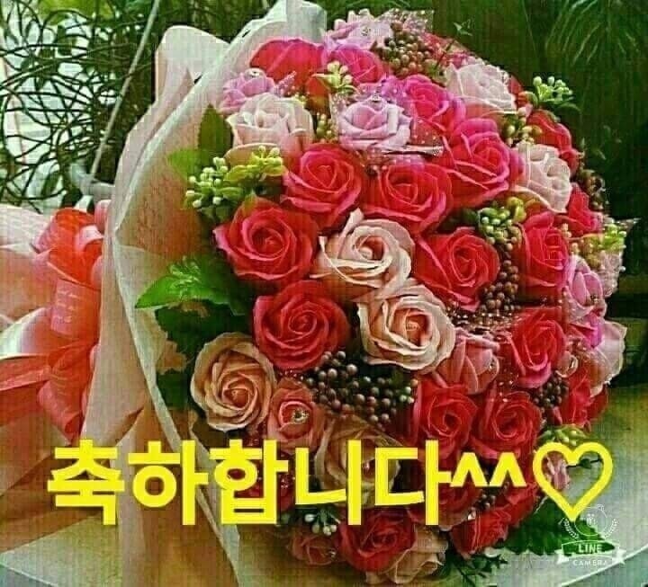 면장님 이미지