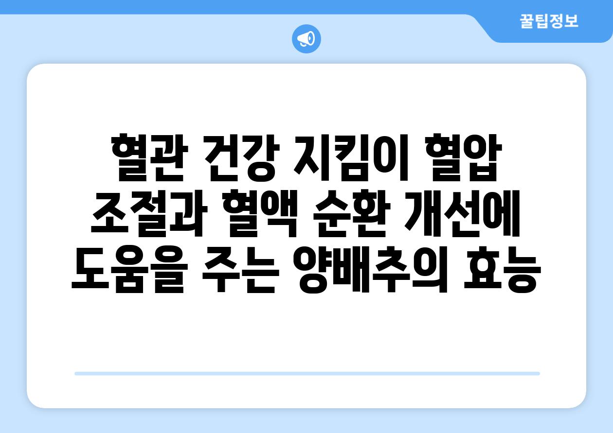 혈관 건강 지킴이 혈압 조절과 혈액 순환 개선에 도움을 주는 양배추의 효능