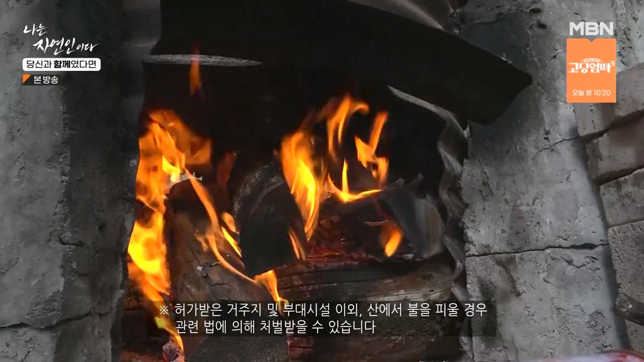 나는 자연인이다.E556.230532p-NEXT.mp4_20230601_201458.907.jpg
