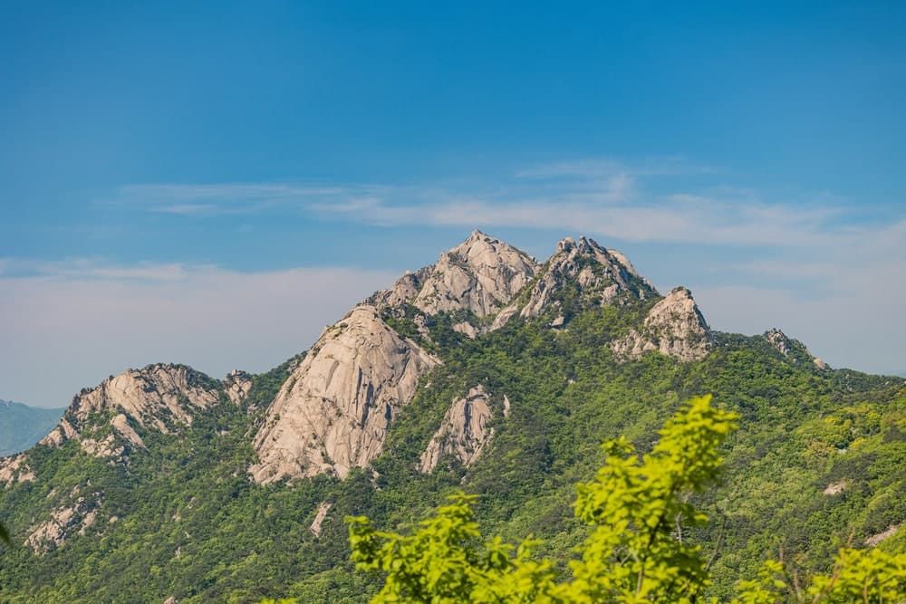 서울 등산관광센터 예약하기