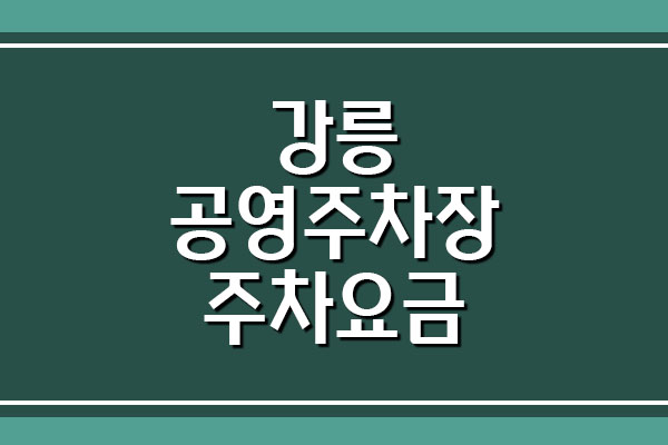  강릉 공영주차장 요금 주차비