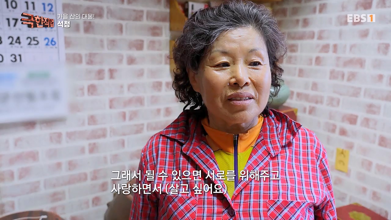 TV - 전 국민의 평생학교 EBS가을 산의 대물! 석청과 버섯.mp4_20230916_171656.158.jpg