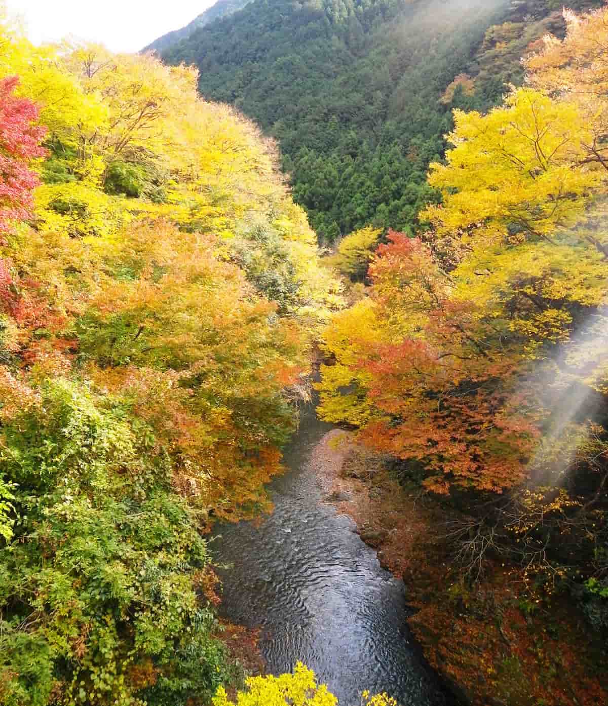 아키가와 계곡