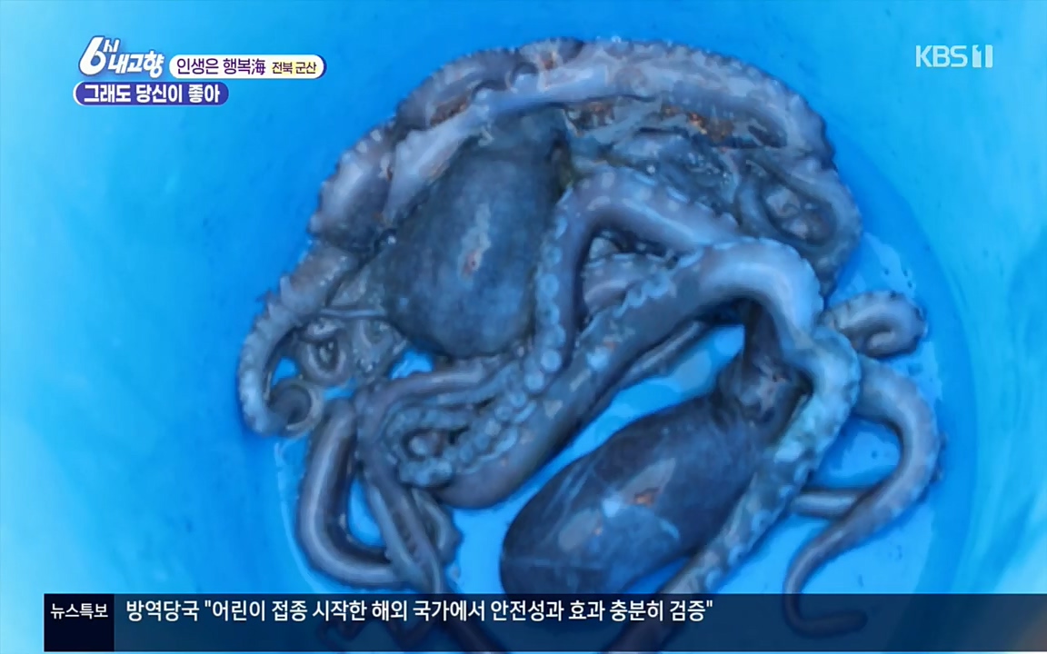 6시 내고향.E7503.220405p.H264-F1RST.mp4_20220405_182928.792.jpg