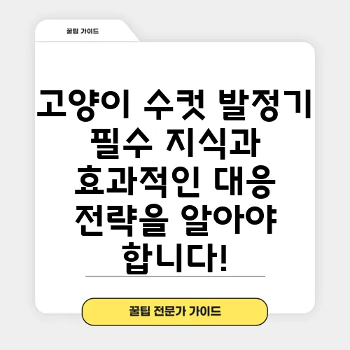 고양이 수컷 발정기 필수 지식과 효과적인 대응 전략을 알아야 합니다!