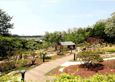 [서울둘레길 9코스 대모&middot;구룡산] 완벽 안내 - 코스 정보부터 교통편까지 한번에!