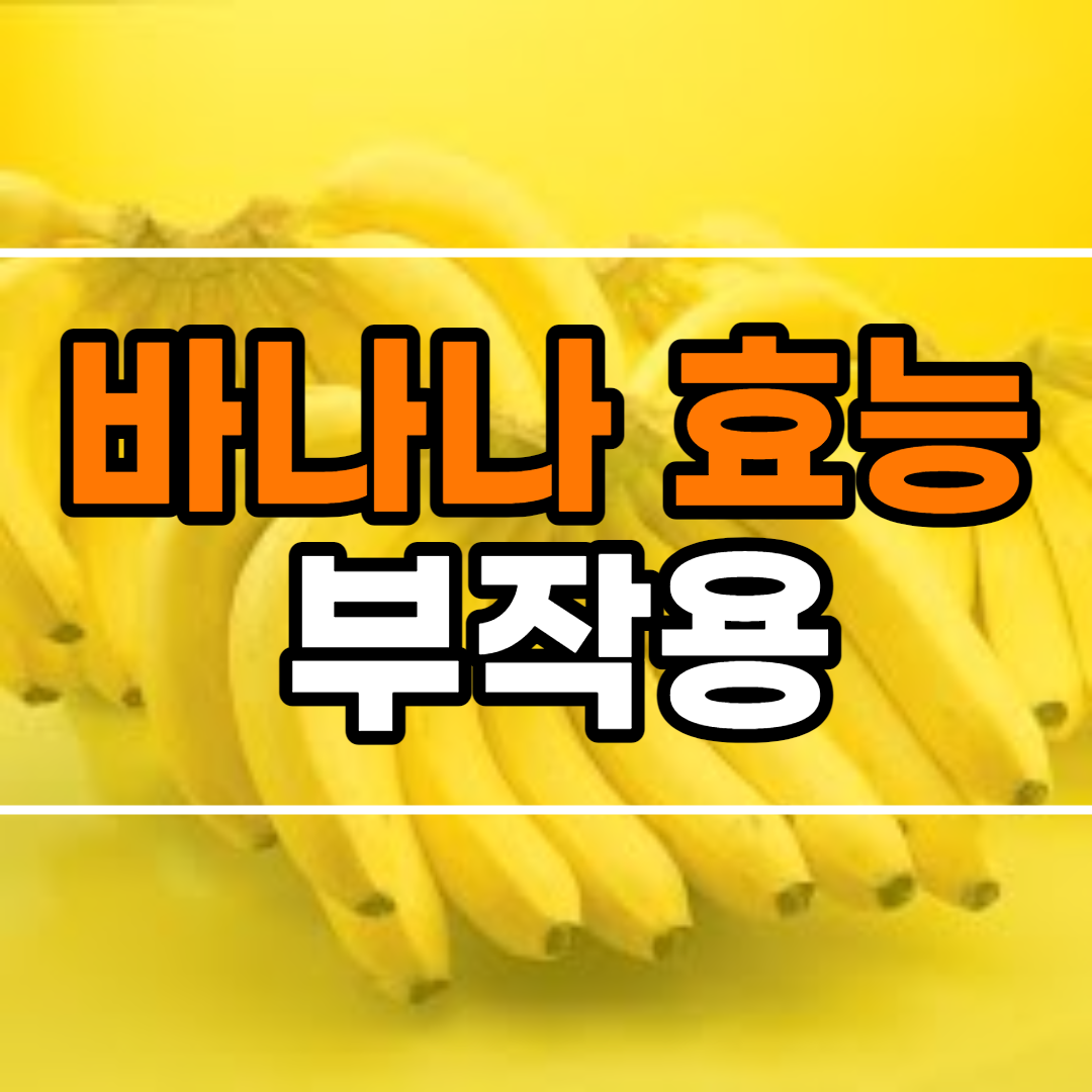 바나나 효능 10가지 및 부작용 바나나 보관법