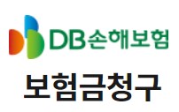 DB_실비보험_0