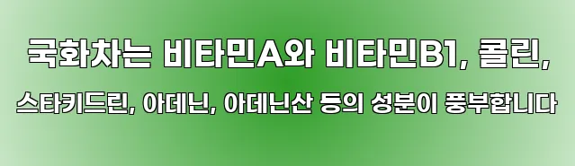  국화차는 비타민A와 비타민B1, 콜린, 스타키드린, 아데닌, 아데닌산 등의 성분이 풍부합니다