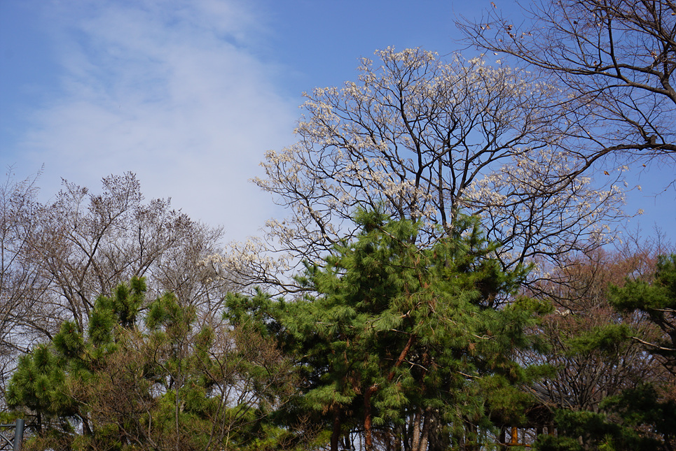 230314 동만봉 3 116