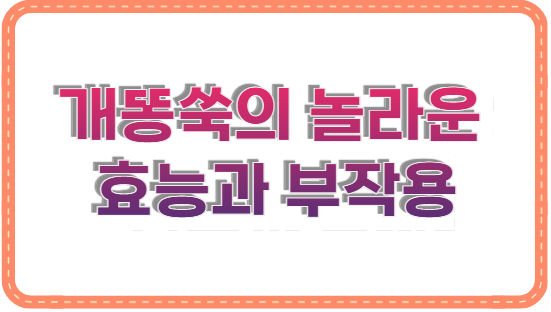 개똥쑥의 놀라운 효능과 부작용