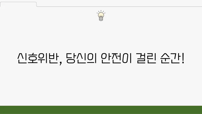 신호위반기준, 신호위반 벌금 및 신호위반 조회 방법