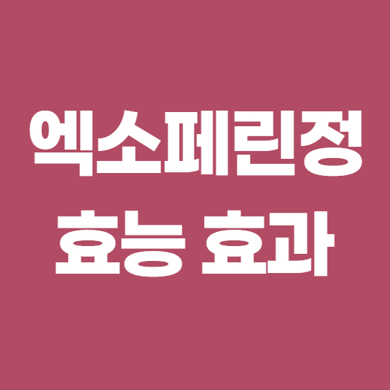  엑소페린정 효과, 효능 제대로 알고 복용하자