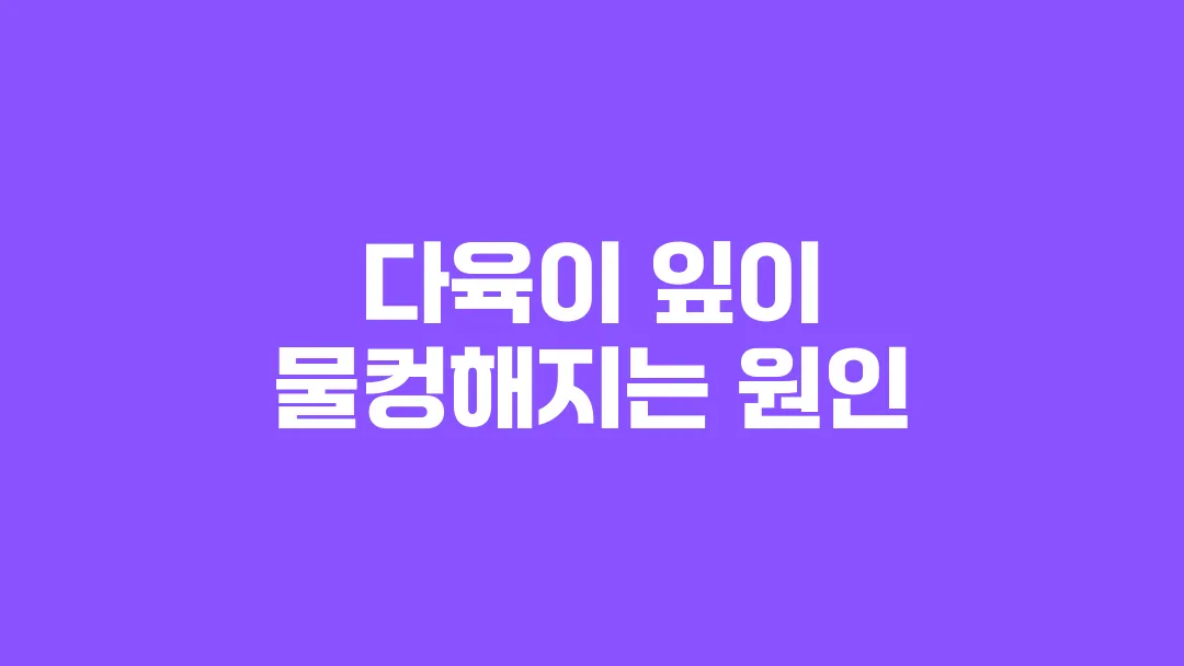 다육이 잎이 물컹해지는 원인