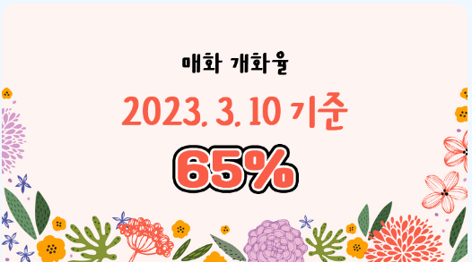 광양 매화축제