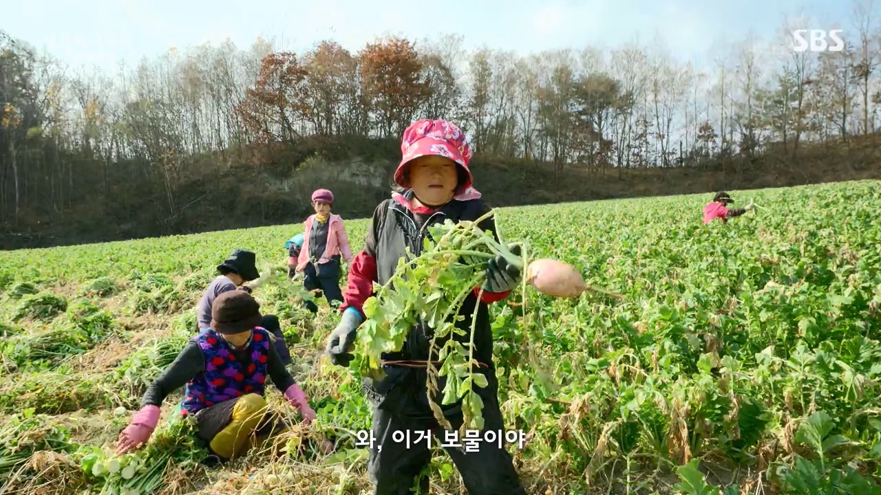 일요특선 다큐멘터리.E344.231204p-NEXT.mp4_20231206_194841.651.jpg