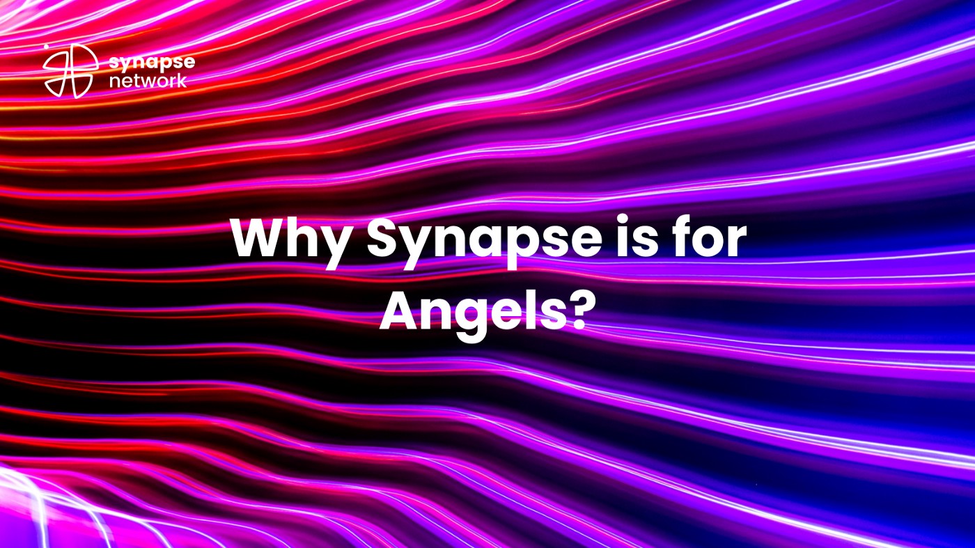  [Synapse Network] Synapse가 엔젤들을 위한 플랫폼인 이유?