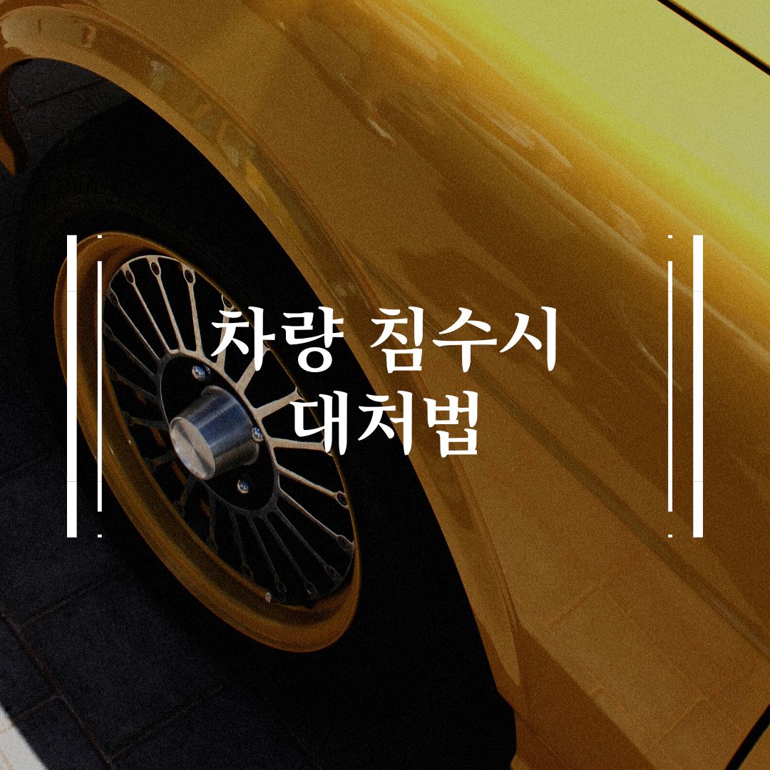  차량 침수시 대처하는 법(차가 물에 잠겼어요!)