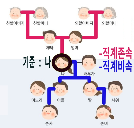  존속, 비속, 직계존비속의 범위 알아보세요