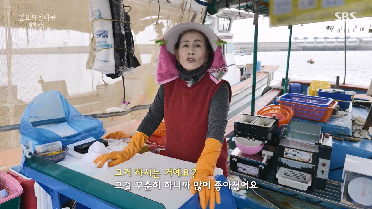 일요특선 다큐멘터리.E343.231127p-NEXT.mp4_20231126_172753.112.jpg