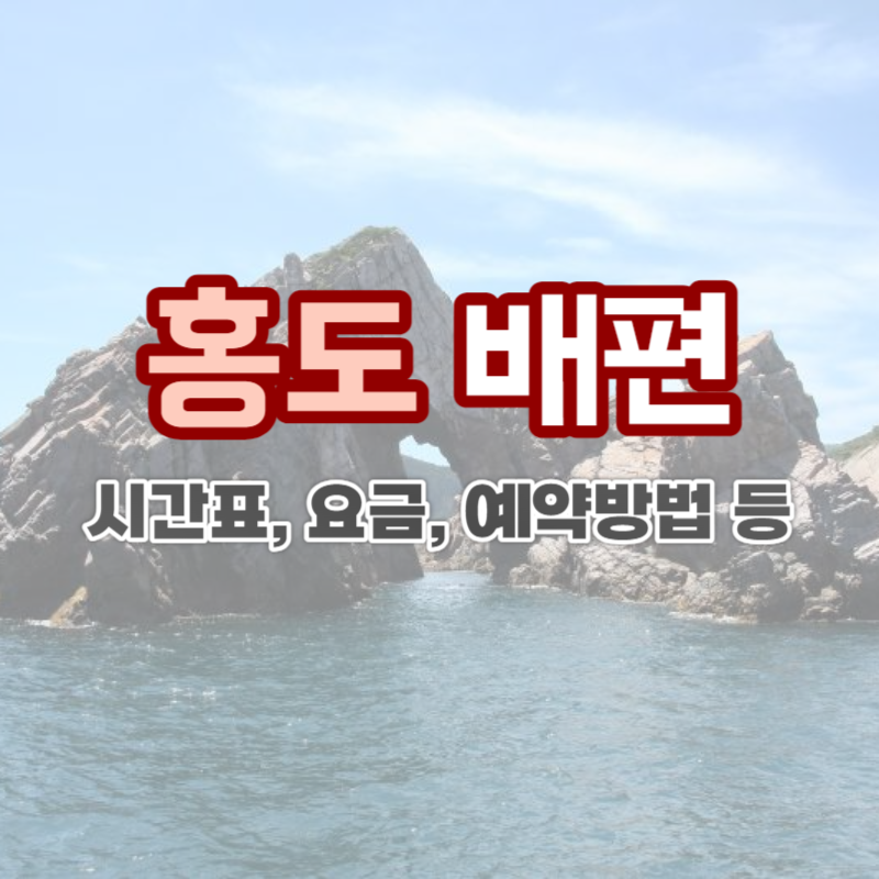 홍도 배편