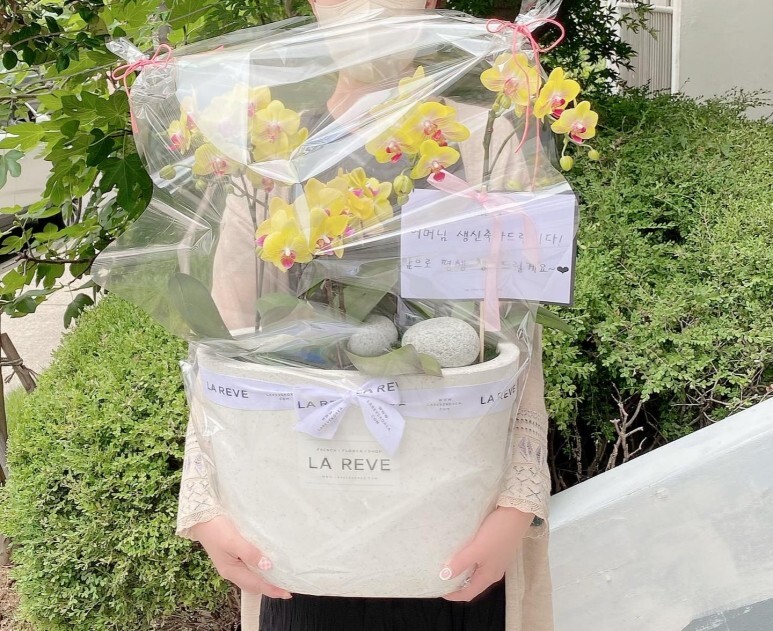 레브REVE 이미지