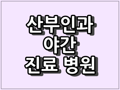 야간 진료 산부인과