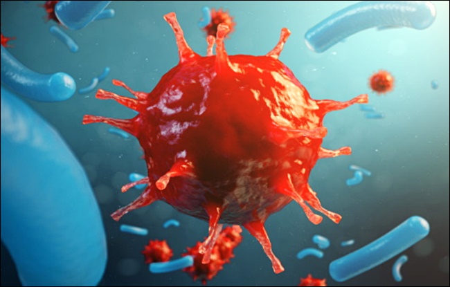 아라한과 효능 5