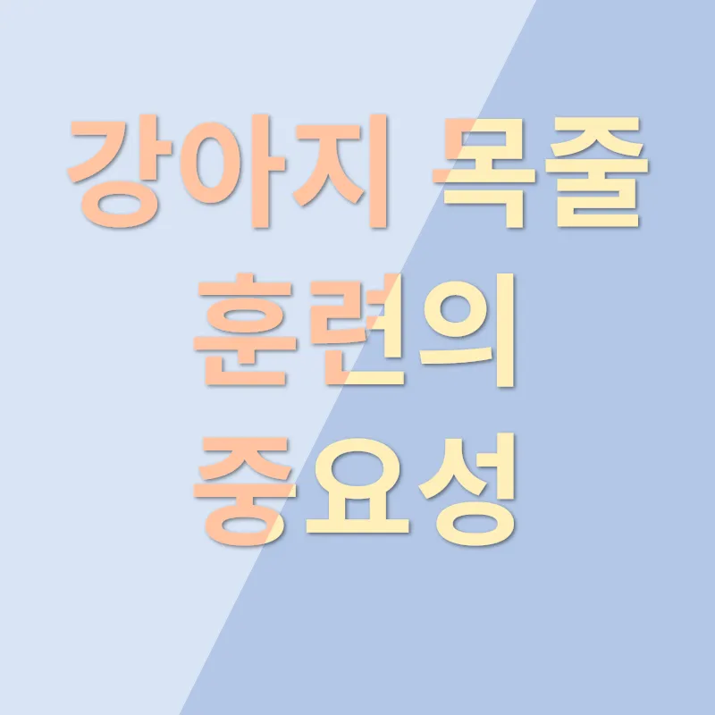 강아지 목줄 훈련_1